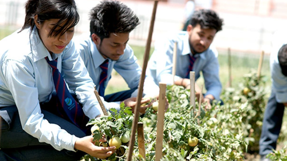 Agriculture Course After 12th | B.Sc. (Hons.) Agriculture